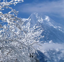 甘孜州雪海茫茫