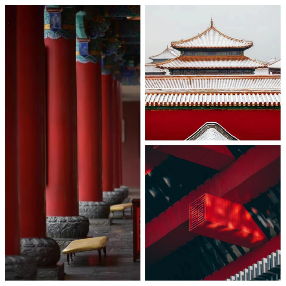 【1106定】夜阑玫瑰 如天鹅绒般的花朵816.png