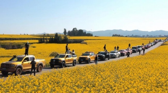 f630adaacb7ec82b5436a656d43d4cfa.jpg 360截图20240306120117807.jpg