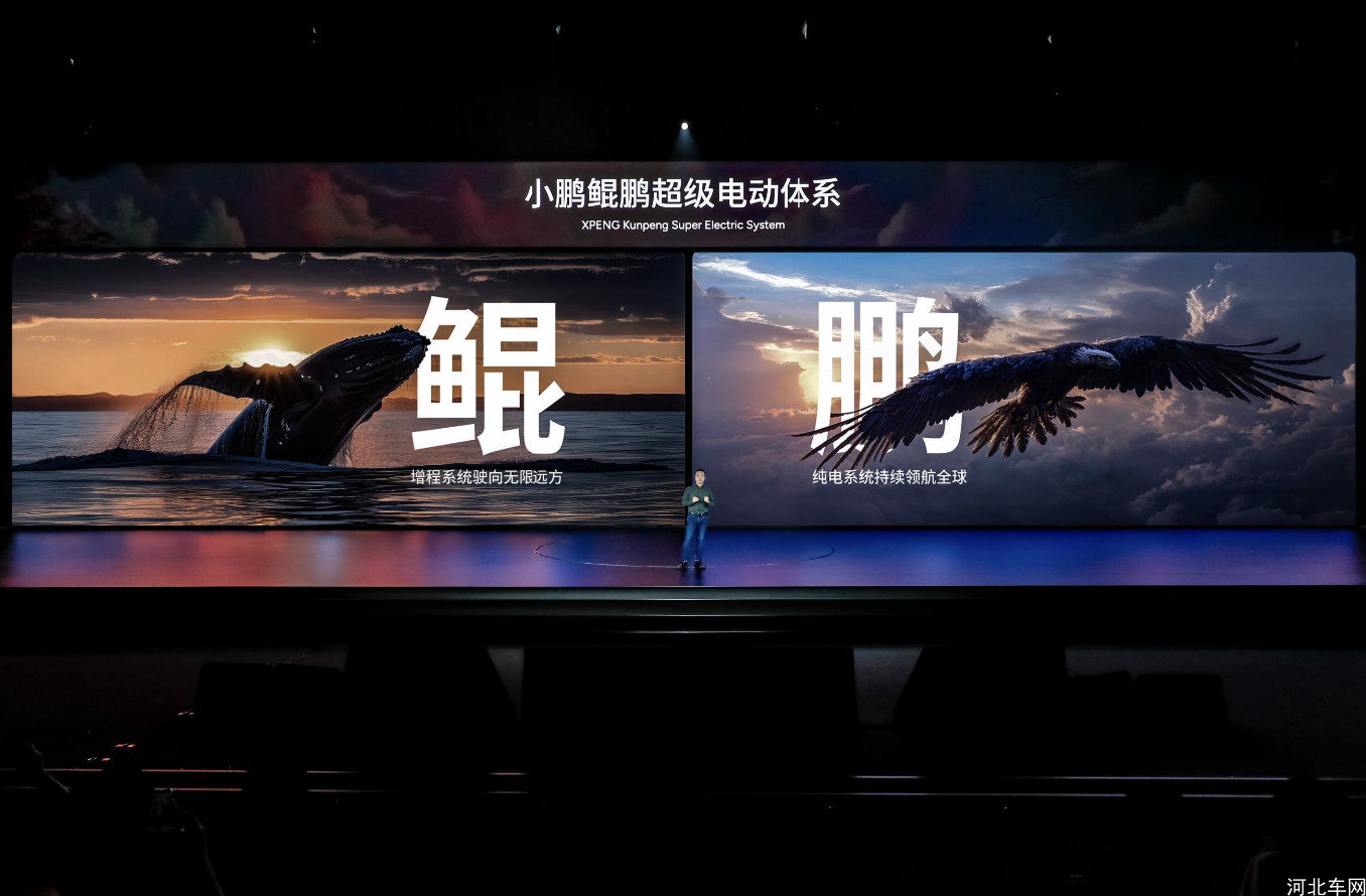 QQ_1730890117057.png