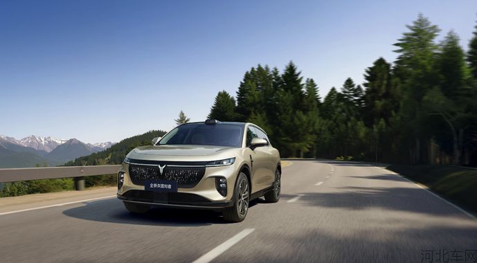 配齐的座驾佩奇的爱！全新岚图知音正式上市20.29万元起