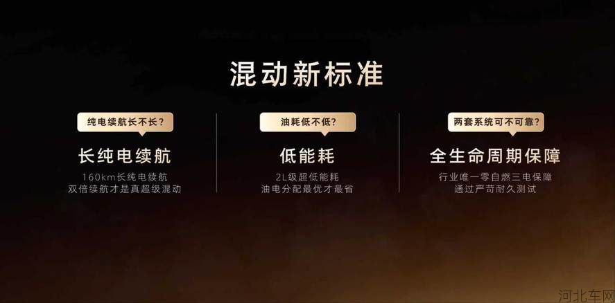 quality,q_90 (23).jpg