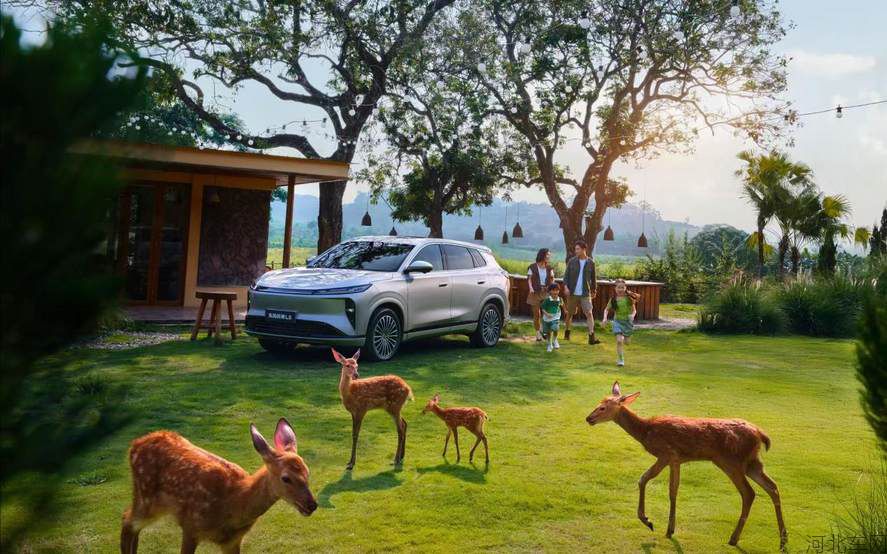 quality,q_90 (8).jpg