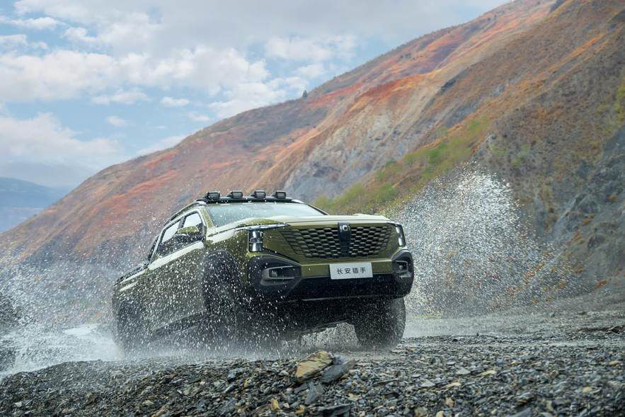 quality,q_90 (19).jpg