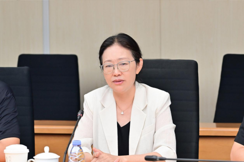 技术引领丨极光湾全新超级电混系统获“中国心”专家团盛赞，高效发动机首搭银河M9第2张